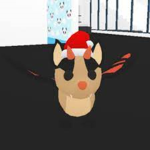 Nutcap_1 fan club