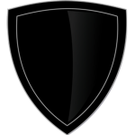 THE BODYGUARD ASSOCIATION