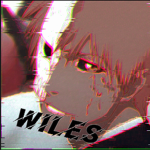 VILES PHONK TEAM