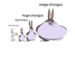 Epicchungusmoment