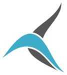 Tailwind Airlines Roblox