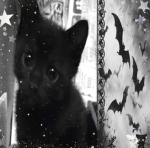 Cat people only group
