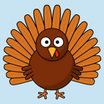 Turkey bird nation