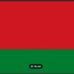 Find The Belarusian Flags (63) icon