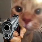 Cat Confirmed