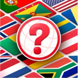 Find The Flags icon
