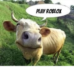 bossku55