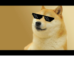 Doge party’s are awesome