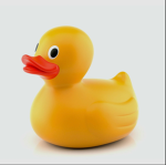 Duck Nation Raids (DNR)