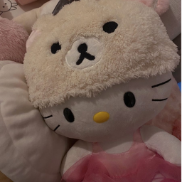 (=^･ｪ･^=)