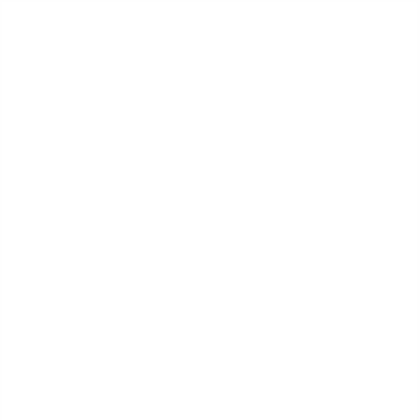 White Roblox decal