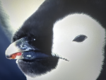 PENGUINS ARE SO CUTE CLUb