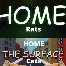 🧀🐟Home🏠