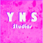 Y n S studios