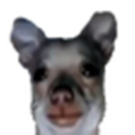 Glorp
