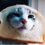 Brookhaven_uwu