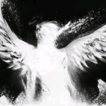 AngelCore Store