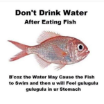 I ATE THE FISH