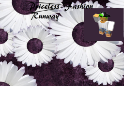 Priceless Fashion Runway V1