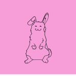 Pink Bunny Clothing