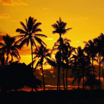 Sunset Girls <3