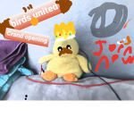 Birds United join