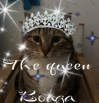 BOUGA