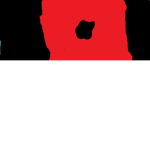 RO,inc group
