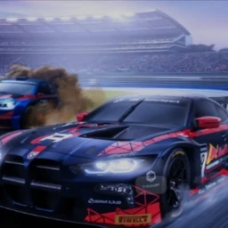 Racing icon