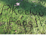 pikachuu fans!!