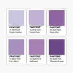 •Pantone Purple•