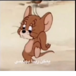 #جيش ميمي قيمز