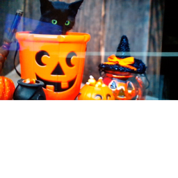 Halloween Night