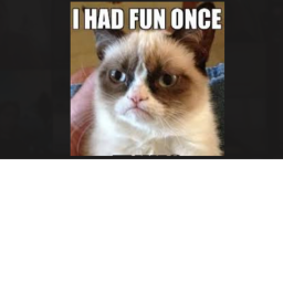 the fun