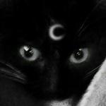 bulbz!