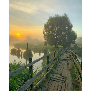 Утро в деревне