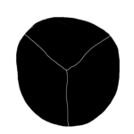 Round cube