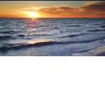 Calming Beauty’s