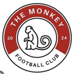 Monkey fc (touch football)