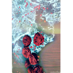 Rose & Ocean