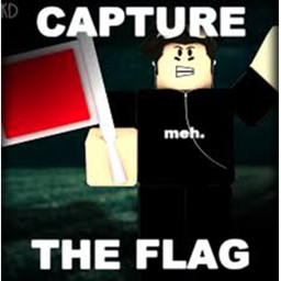 Capture The Flag (New)