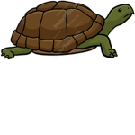 The Turtle Union Group