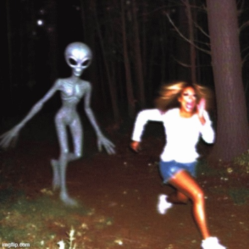 Esquivar - Servidores de prueba