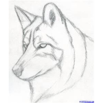 Friends And Followers Group!!!