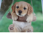 Cute puppy group for us