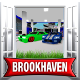 Brookhaven working scripts