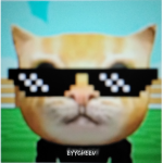 SSTRONG CAT