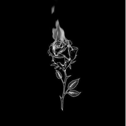 Sorry♤