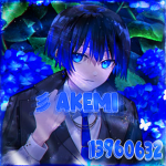 彡 Akemi
