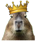 The Capybara Castle